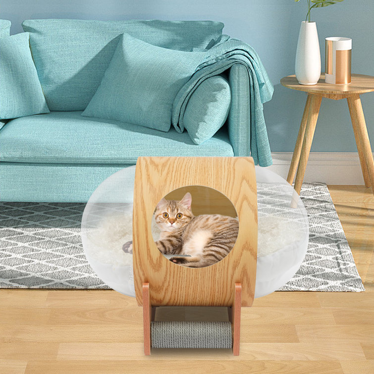 Tucker Murphy Pet™ Damonei Specialty Cat Bed Wayfair